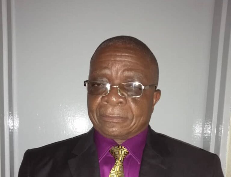 2023 Zimsec results: Silveira High punches above weight