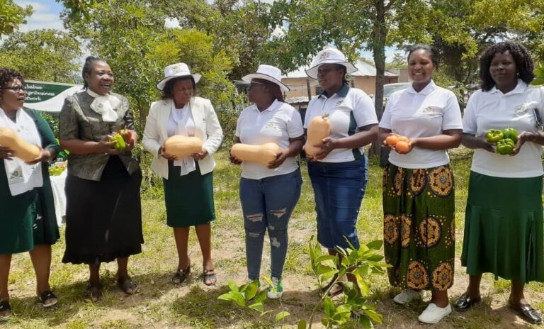 ZWAN trains Masvingo women on business farming