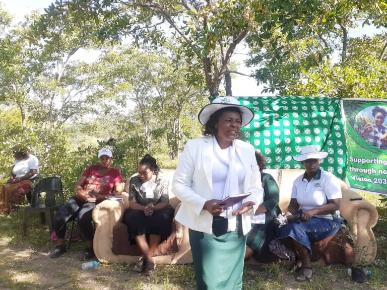 Breaking the mold: ZWAN’s mission to  empower female farmers