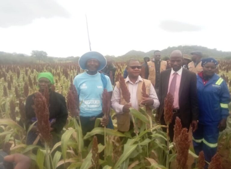 Chivi farmer realises benefits of small-grain farming