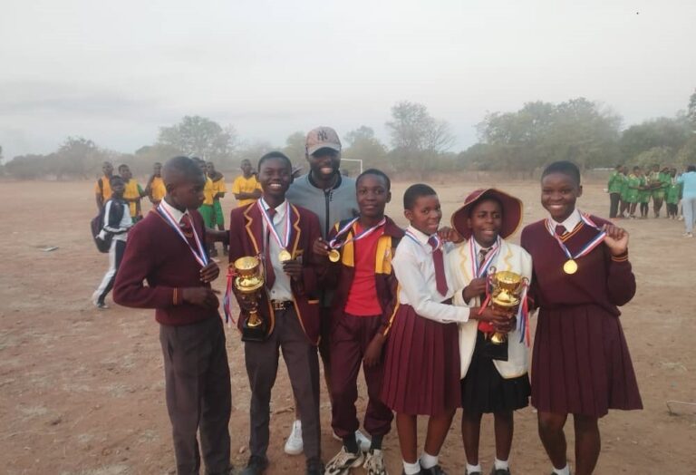 Temaraire High scoops gold medals at chess tournament