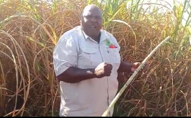 Disaster looms in Mkwasine as major water supply dams decline