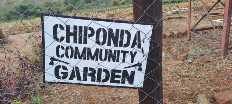 Chiponda Community Garden loses pump to thieves