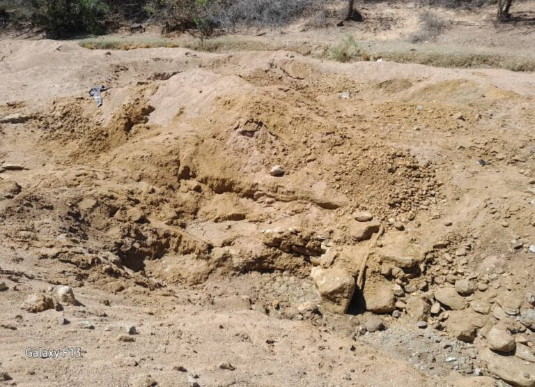 Artisanal miners bludgeon environmentalist