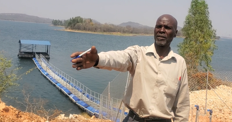 Chivi community garden gets UNDP support