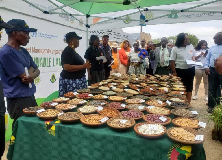 Dryland Sustainable Landscapes Project takes shape in Masvingo