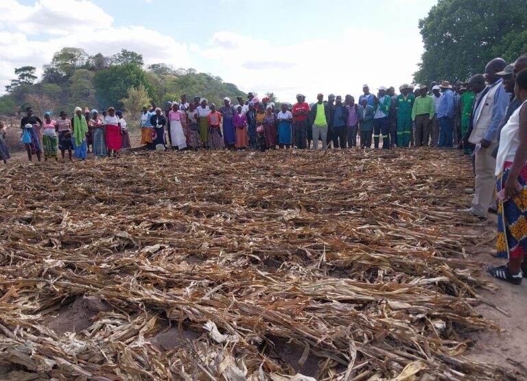 Farmers urged to start planting, as seed prices bite