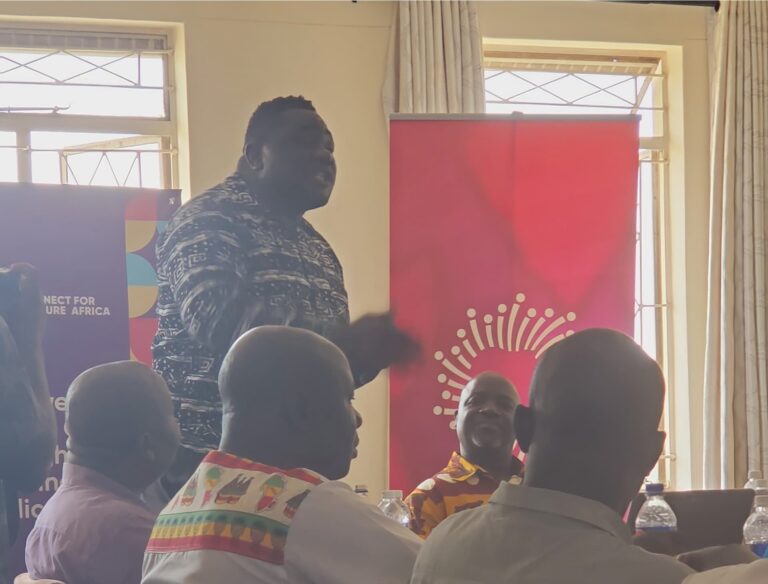 Chenhaka Trust hosts Connect for Cultural Africa in Masvingo