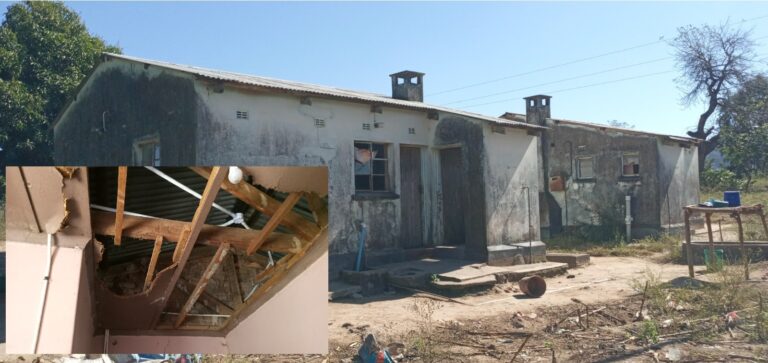 We lived like mice for years: nurses