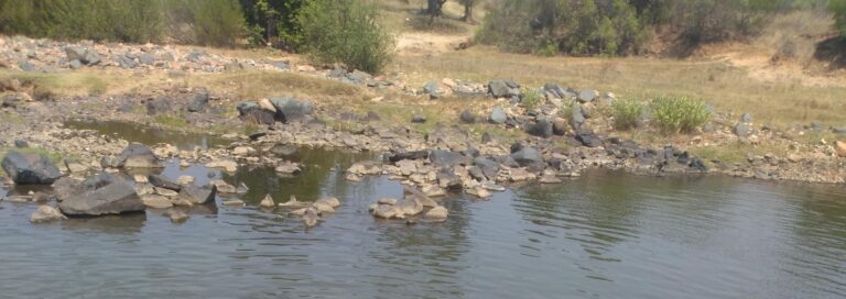 Shashe River toxic spill kills fish, goats
