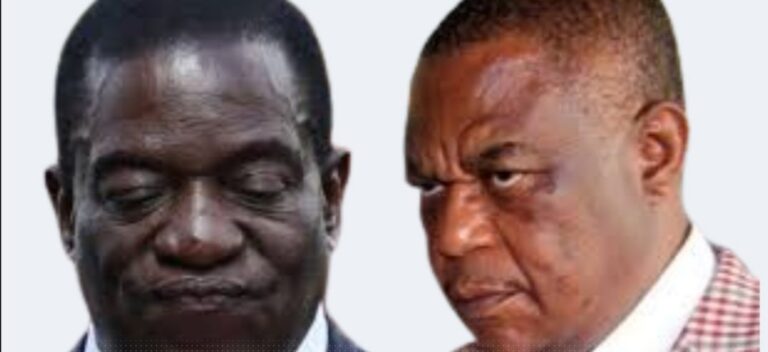 Anti-ED faction blocks CEO appointment in Bikita