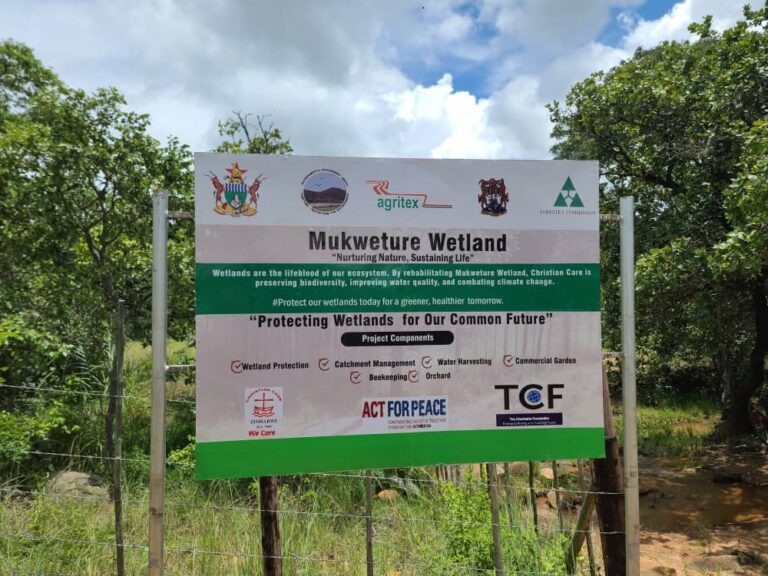 EMA takes World Wetlands Day commemorations to Bikita