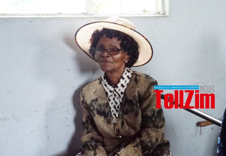 Masvingo City ward 5 health club laments bin liners theft