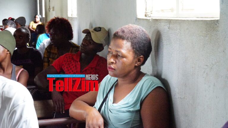 Stray dogs menace worries Masvingo residents