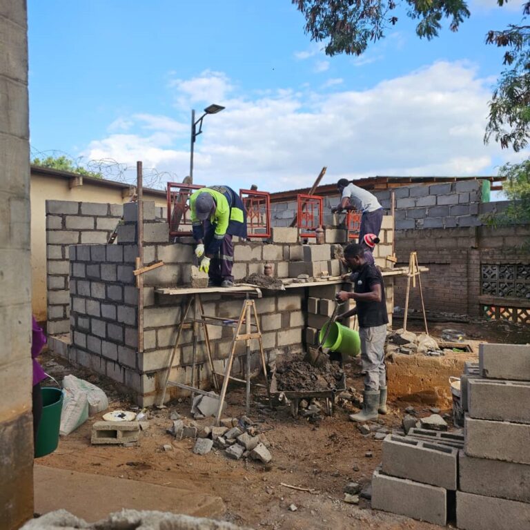 Chiredzi TC Chairperson constructs public toilets from own pocket