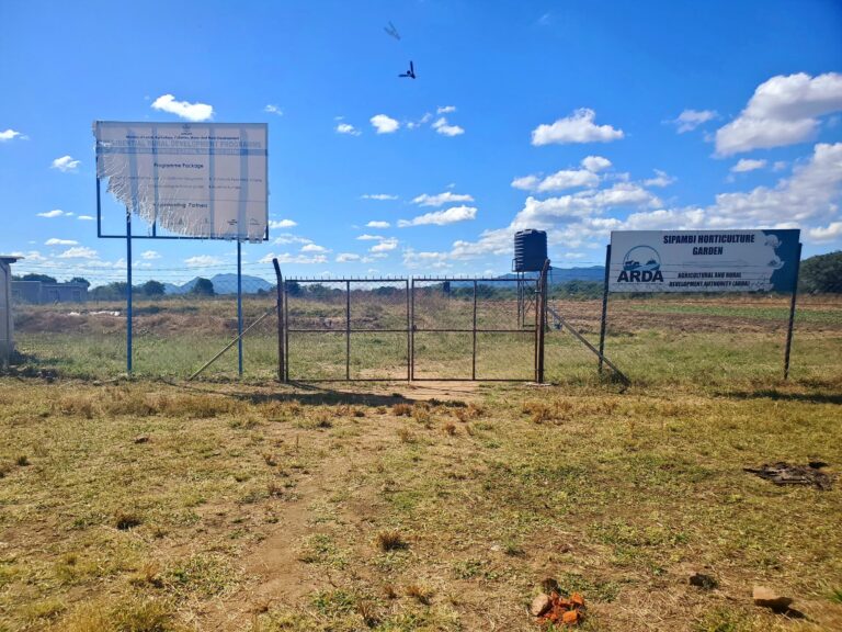 Musakanda garden project transforms lives