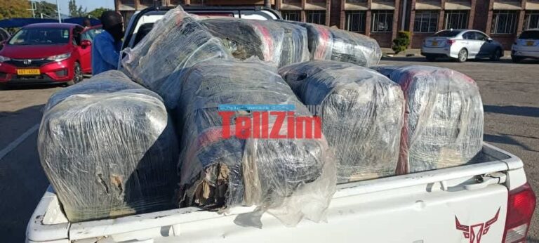 1.6 tonnes of smuggled chicken intercepted in Masvingo