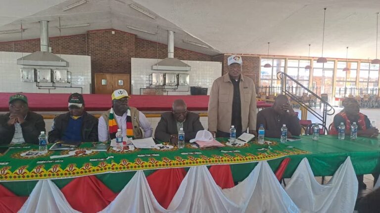 Zanu PF shocked by own win in Gutu East