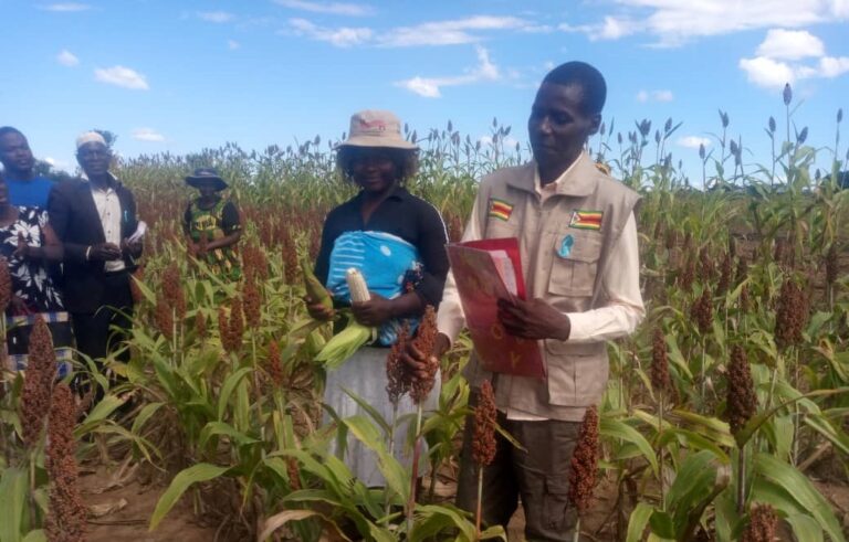 Farmers urged to shift to climate-resilient farming