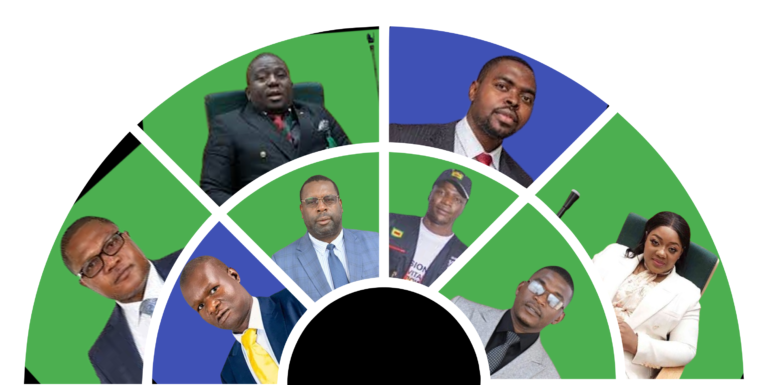 Masvingo’s best & worst MPs