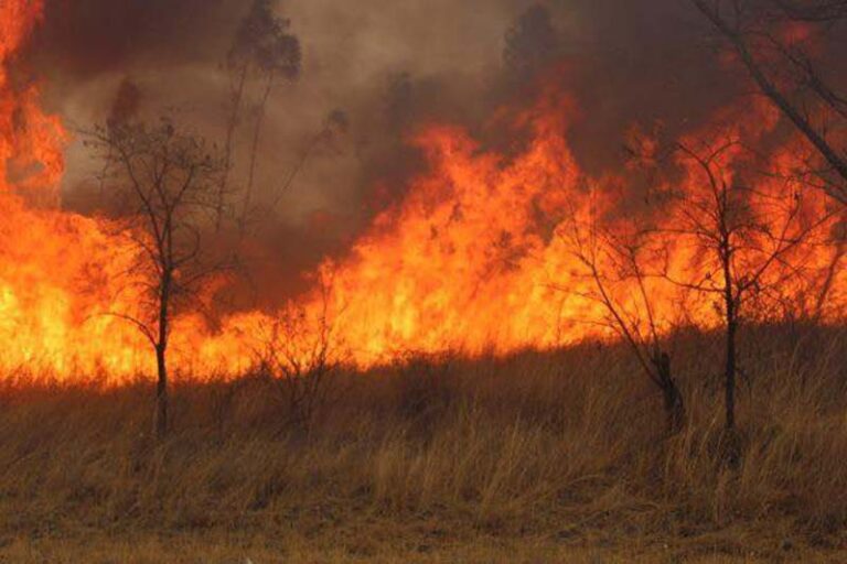Masvingo red flagged over veld fires