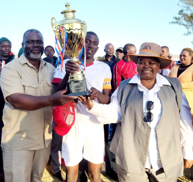 Chibi, Chidyamakono dominates NASH provincial tourney