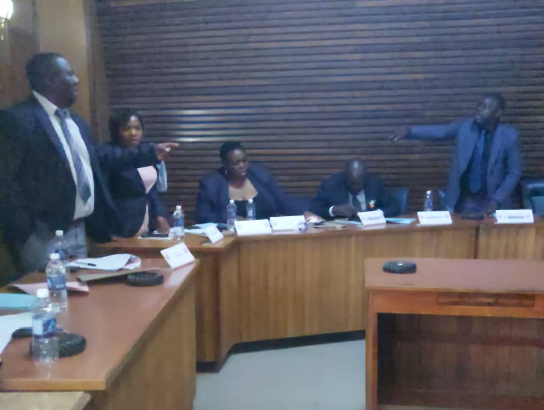 Councilors at Masvingo Full Council meeting