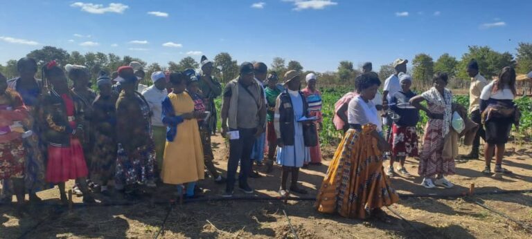 Cultivating hope, Mahaba garden’s story of resilience