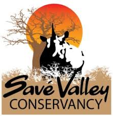 Poachers kill rhino Michele 2095 in Save Valley Conservancy
