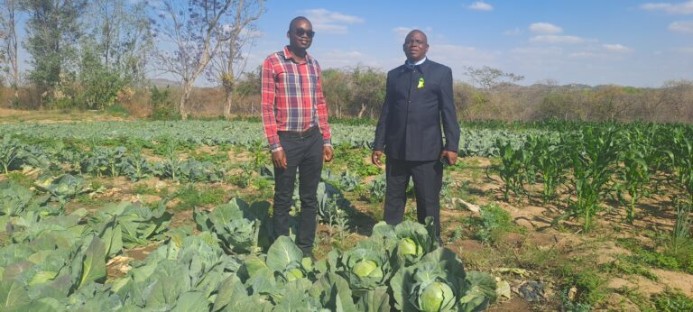 Makumbe High’s agricultural boom, a model of self-sufficiency