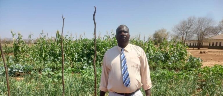 Masvingo schools cultivate food security, digital learning through agriculture