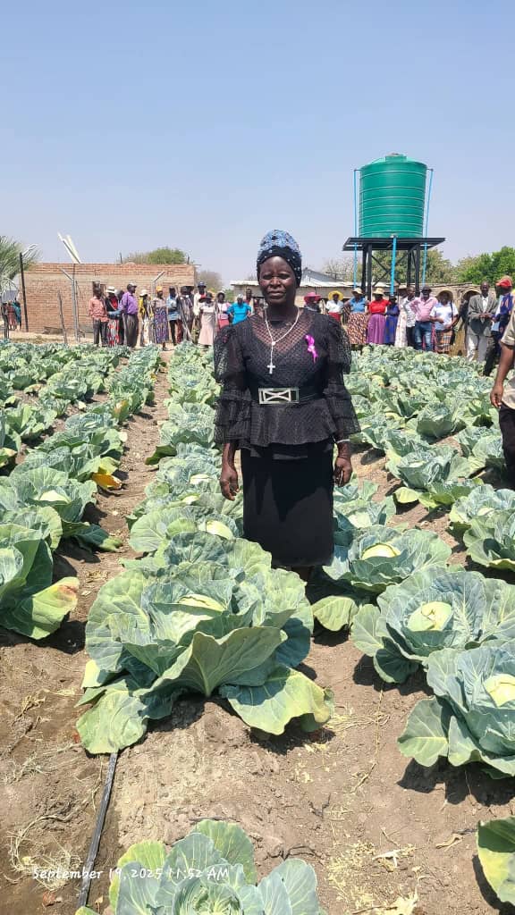 Rubaya family’s farming venture shines in Chivi North