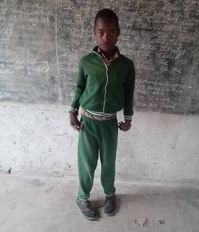 Mwenezi teen with disability appeals for mobility aid to stay in school