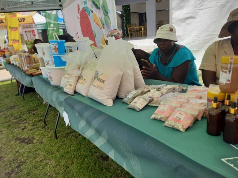 Masvingo farmers embrace sustainable growth through GEF-7 initiative