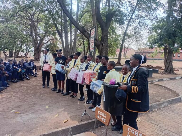 Morana Investments donates sanitary wear to Chiredzi Government High       