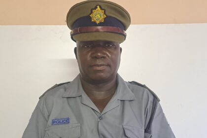 Masvingo Provincial Police Spokesperson