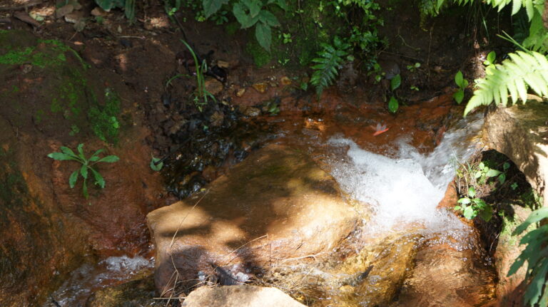 Masvingo Province commemorates World Wetlands Day in Bikita