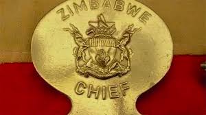 New Chiefs Bere, Tshovani appointed after years of vacancy