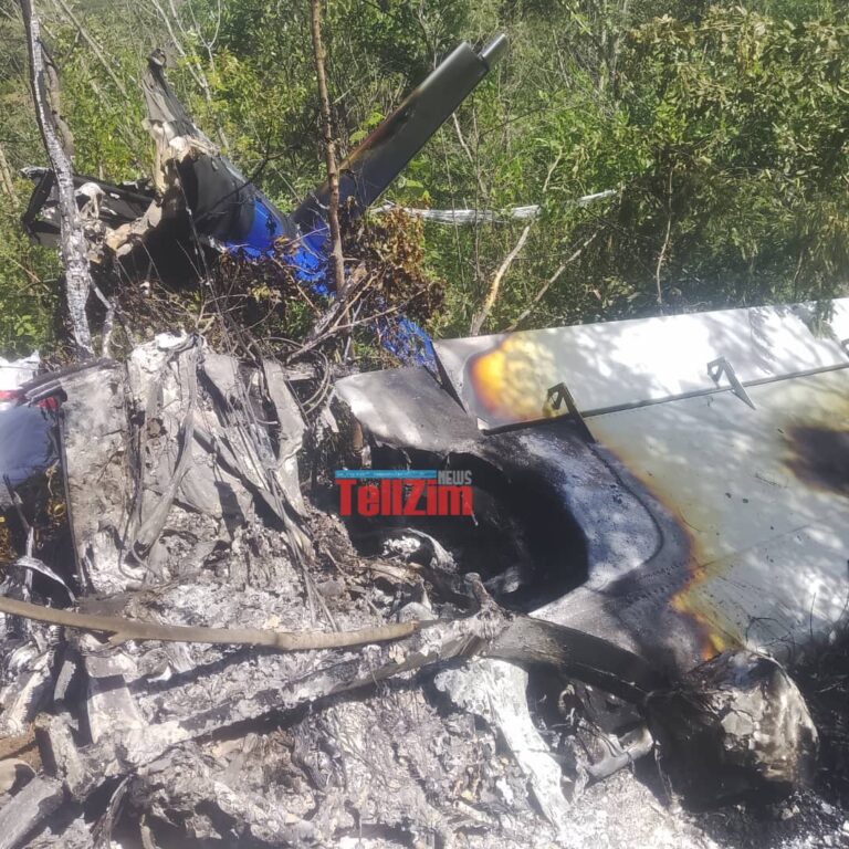 Zaka plane crash, new details emerge