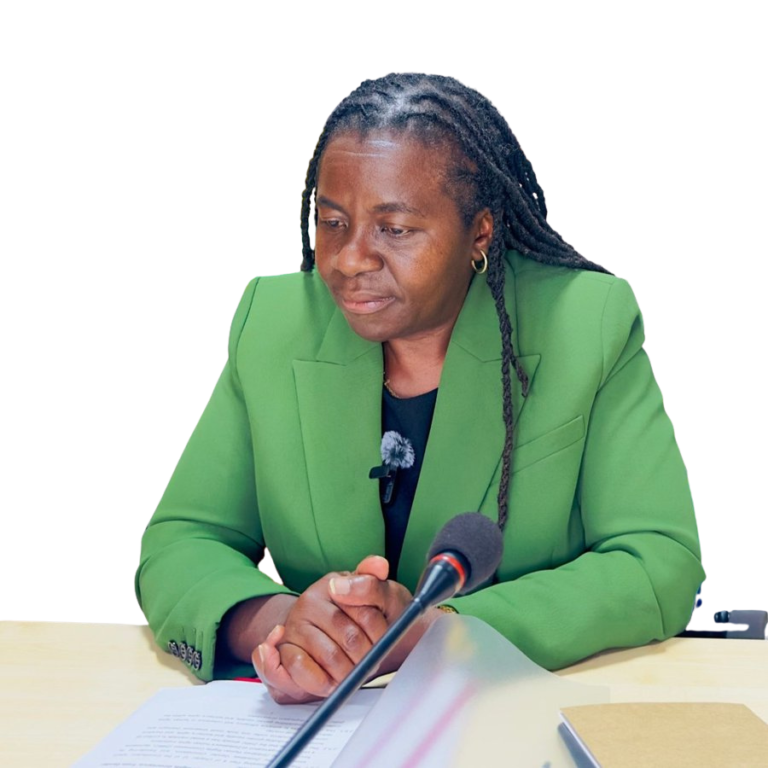 ZHRC condemns CAB3, public hearings