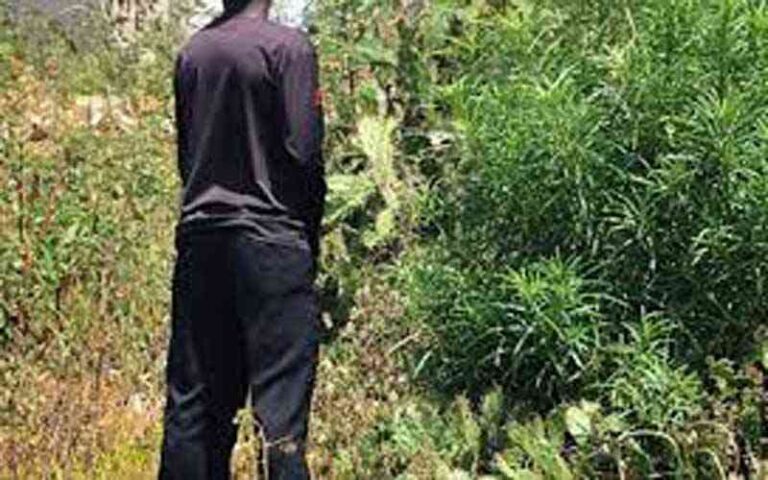 Over 20k Chiredzi Rural households use bush toilets