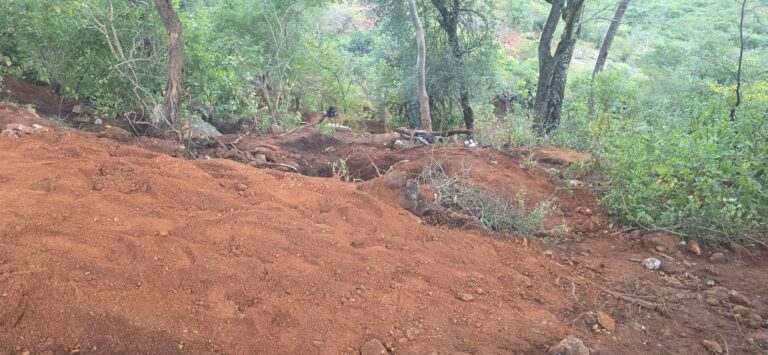 From childhood playground to gold rush battlefield