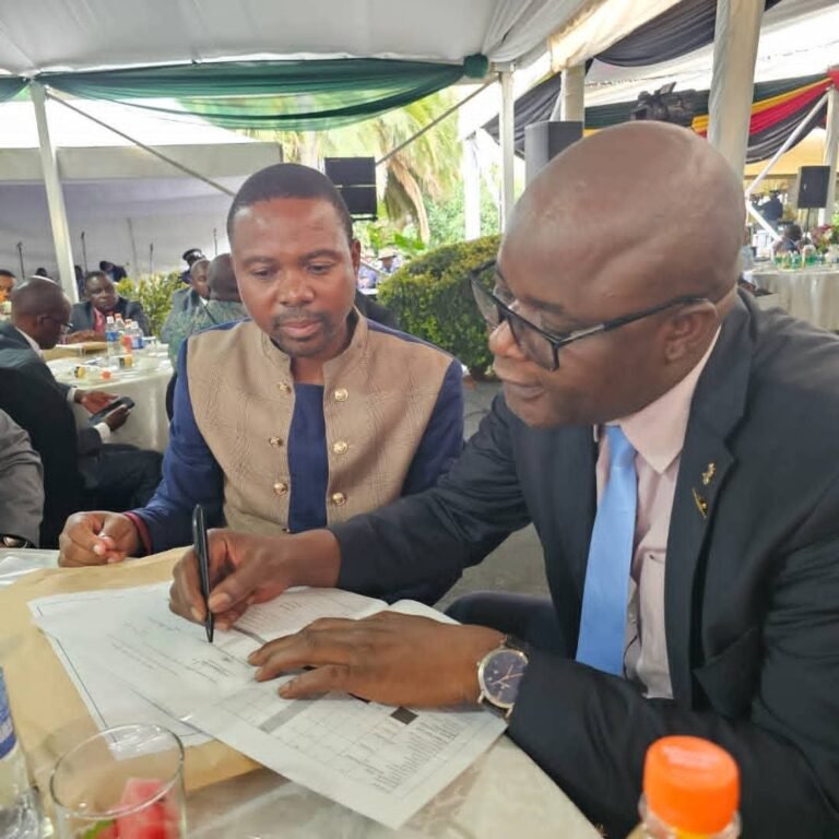 Acquittal failures cost Chiredzi Town Council millions in ZINARA funds